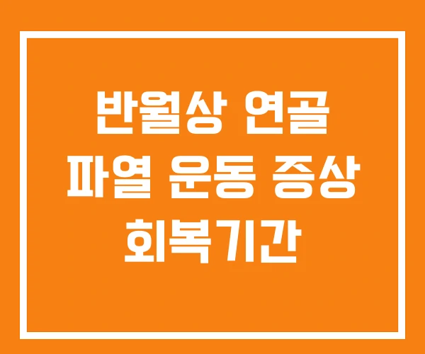 반월상 연골 파열 운동 증상 회복기간