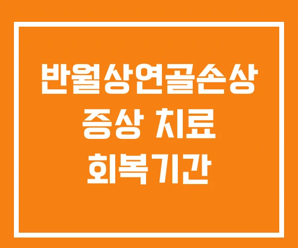 반월상연골손상 증상 치료 회복기간