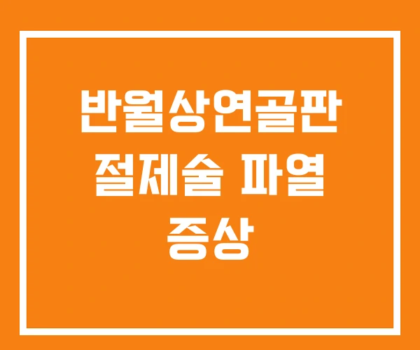반월상연골판 절제술 파열 증상