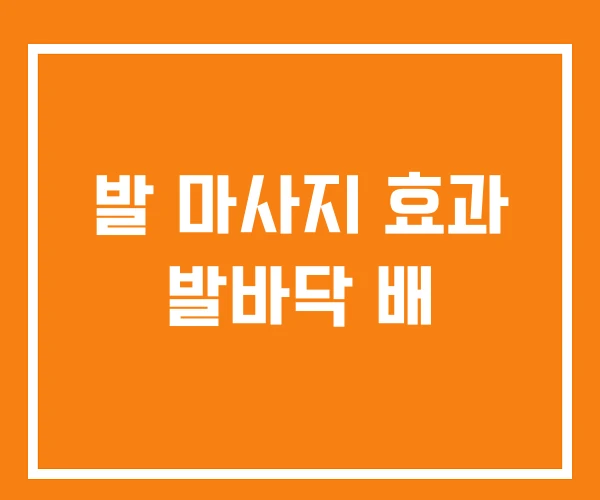 발 마사지 효과 발바닥 배