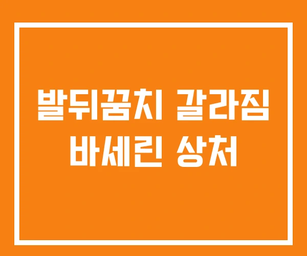 발뒤꿈치 갈라짐 바세린 상처