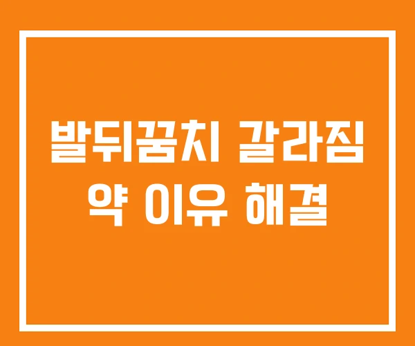발뒤꿈치 갈라짐 약 이유 해결