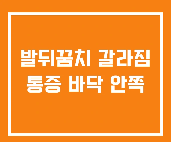 발뒤꿈치 갈라짐 통증 바닥 안쪽