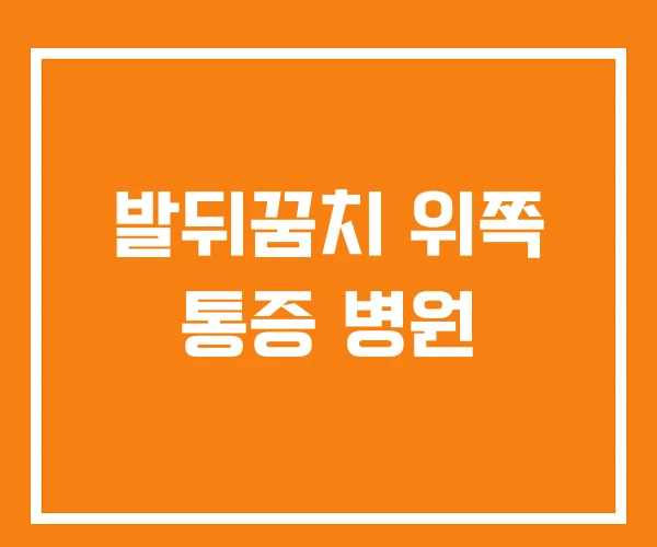 발뒤꿈치 위쪽 통증 병원