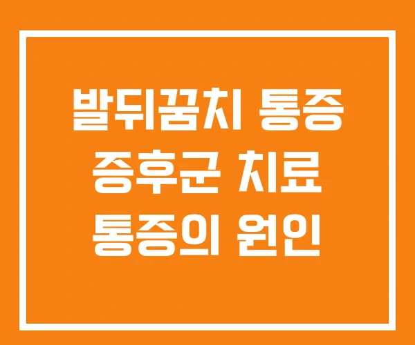 발뒤꿈치 통증 증후군 치료 통증의 원인
