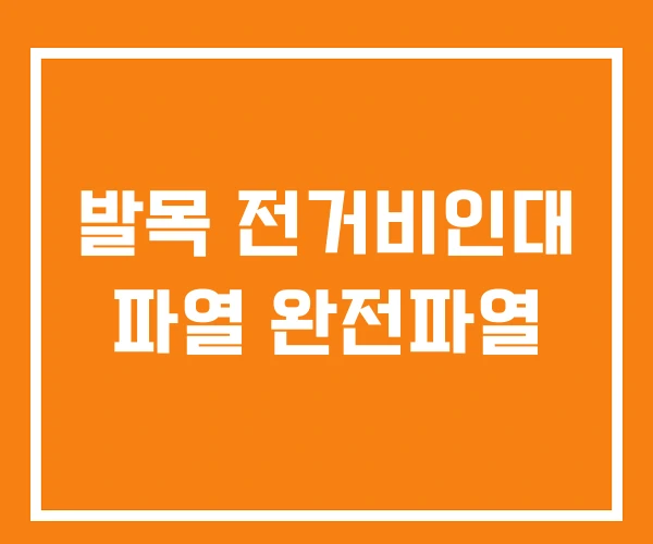 발목 전거비인대 파열 완전파열 발목 전거비인대 파열 완전파열