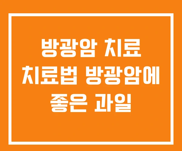 방광암 치료 치료법 방광암에 좋은 과일