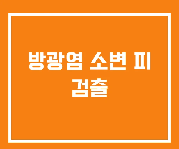 방광염 소변 피 검출
