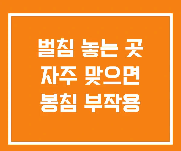 벌침 놓는 곳 자주 맞으면 봉침 부작용