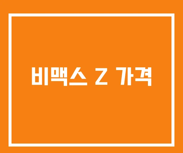 비맥스 Z 가격 비맥스 Z 가격