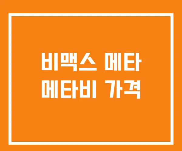 비맥스 메타 메타비 가격 비맥스 메타 메타비 가격