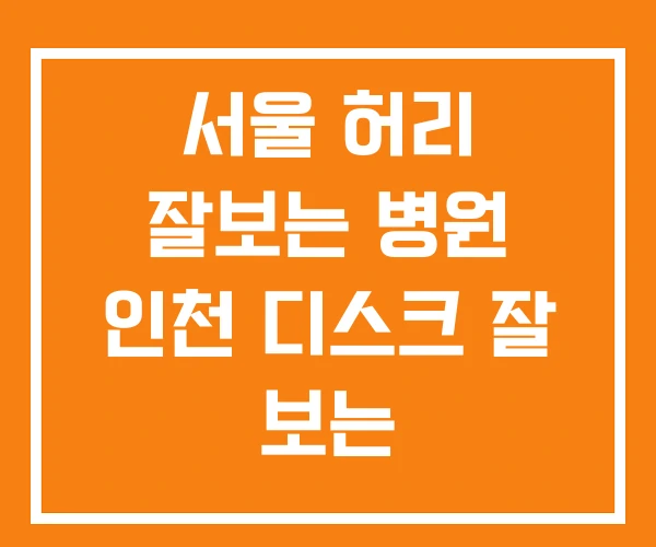 서울 허리 잘보는 병원 인천 디스크 잘 보는