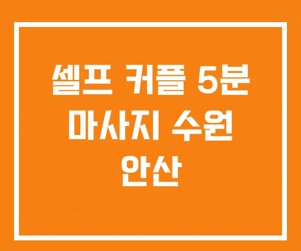 셀프 커플 5분 마사지 수원 안산