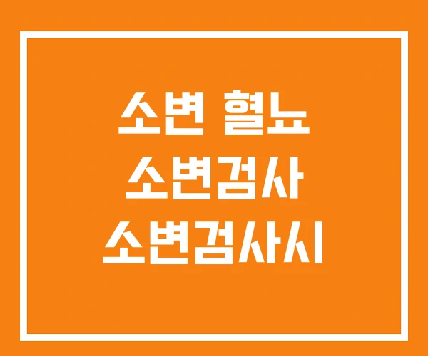 소변 혈뇨 소변검사 소변검사시 소변 혈뇨 소변검사 소변검사시