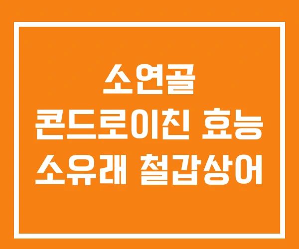 소연골 콘드로이친 효능 소유래 철갑상어 소연골 콘드로이친 효능 소유래 철갑상어