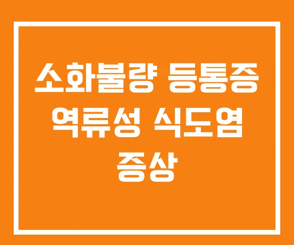 소화불량 등통증 역류성 식도염 증상
