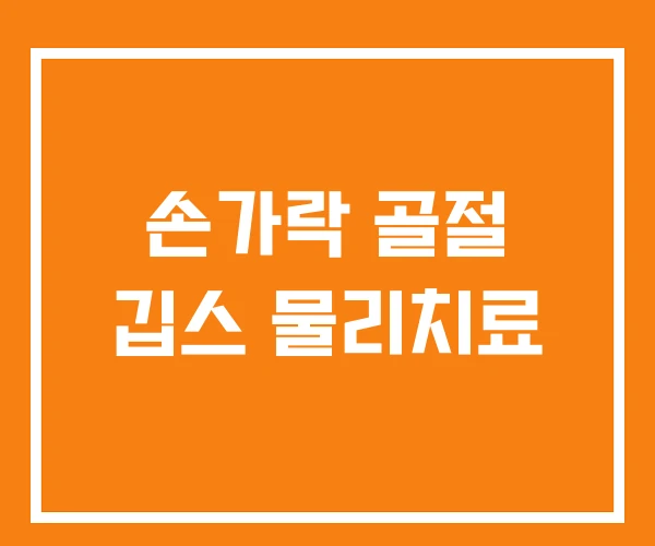 손가락 골절 깁스 물리치료 손가락 골절 깁스 물리치료