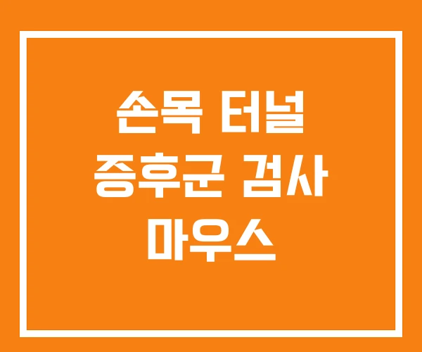 손목 터널 증후군 검사 마우스