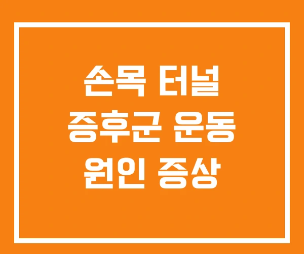 손목 터널 증후군 운동 원인 증상 손목 터널 증후군 운동 원인 증상