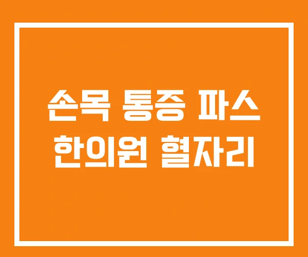 손목 통증 파스 한의원 혈자리 손목 통증 파스 한의원 혈자리