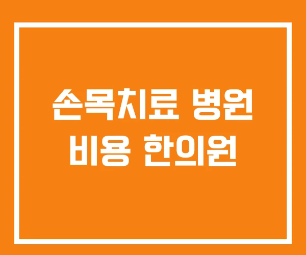 손목치료 병원 비용 한의원 손목치료 병원 비용 한의원