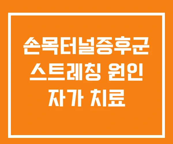 손목터널증후군 스트레칭 원인 자가 치료 손목터널증후군 스트레칭 원인 자가 치료
