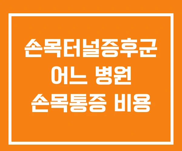 손목터널증후군 어느 병원 손목통증 비용