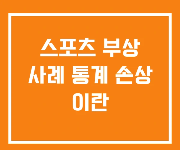 스포츠 부상 사례 통계 손상 이란