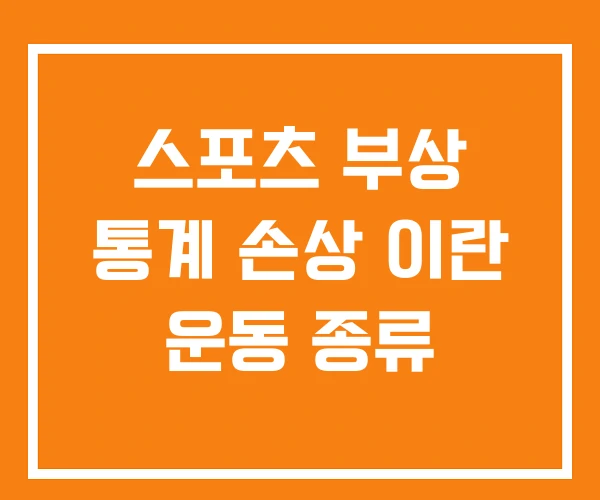 스포츠 부상 통계 손상 이란 운동 종류