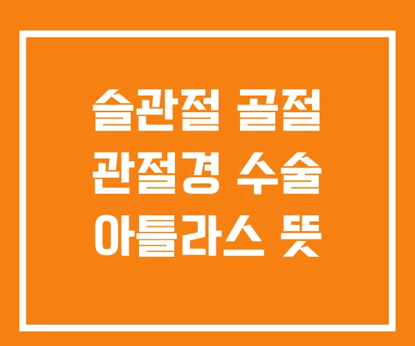 슬관절 골절 관절경 수술 아틀라스 뜻