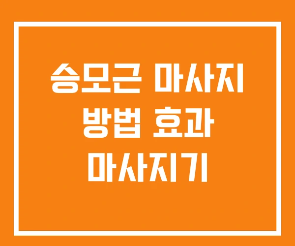승모근 마사지 방법 효과 마사지기 승모근 마사지 방법 효과 마사지기
