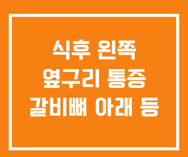 식후 왼쪽 옆구리 통증 갈비뼈 아래 등