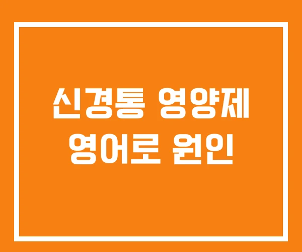 신경통 영양제 영어로 원인 신경통 영양제 영어로 원인