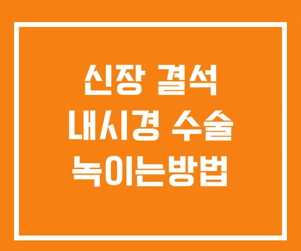 신장 결석 내시경 수술 녹이는방법