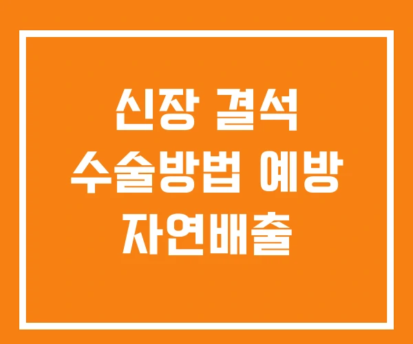 신장 결석 수술방법 예방 자연배출 신장 결석 수술방법 예방 자연배출