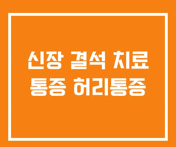 신장 결석 치료 통증 허리통증 신장 결석 치료 통증 허리통증