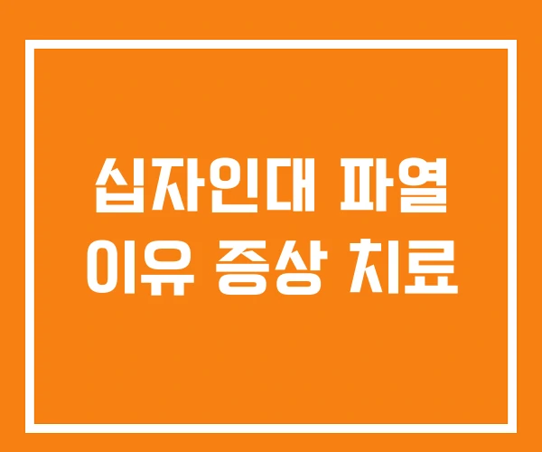 십자인대 파열 이유 증상 치료 십자인대 파열 이유 증상 치료