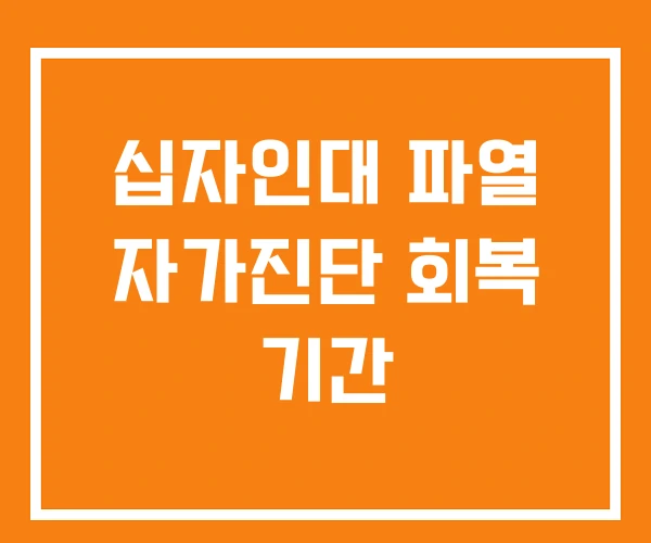 십자인대 파열 자가진단 회복 기간