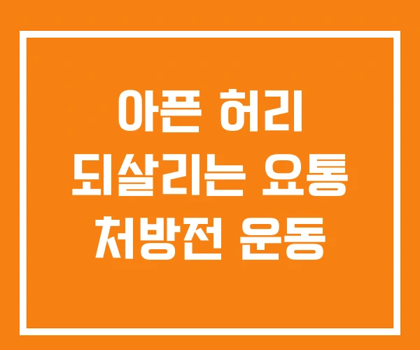 아픈 허리 되살리는 요통 처방전 운동 아픈 허리 되살리는 요통 처방전 운동