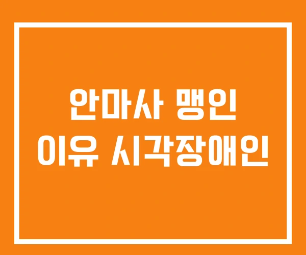 안마사 맹인 이유 시각장애인
