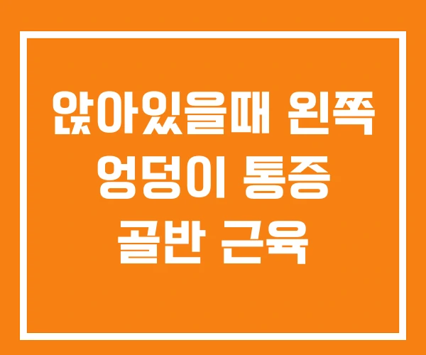 앉아있을때 왼쪽 엉덩이 통증 골반 근육 앉아있을때 왼쪽 엉덩이 통증 골반 근육