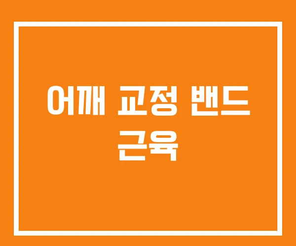 어깨 교정 밴드 근육