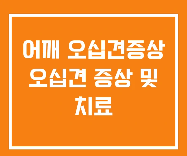 어깨 오십견증상 오십견 증상 및 치료