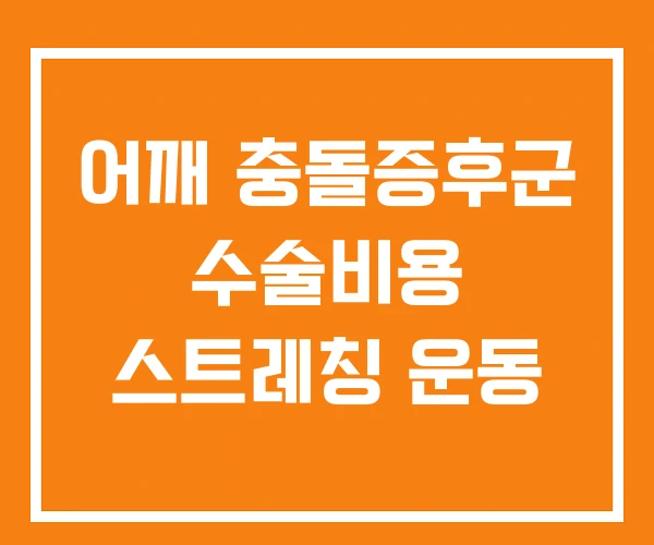 어깨 충돌증후군 수술비용 스트레칭 운동 어깨 충돌증후군 수술비용 스트레칭 운동