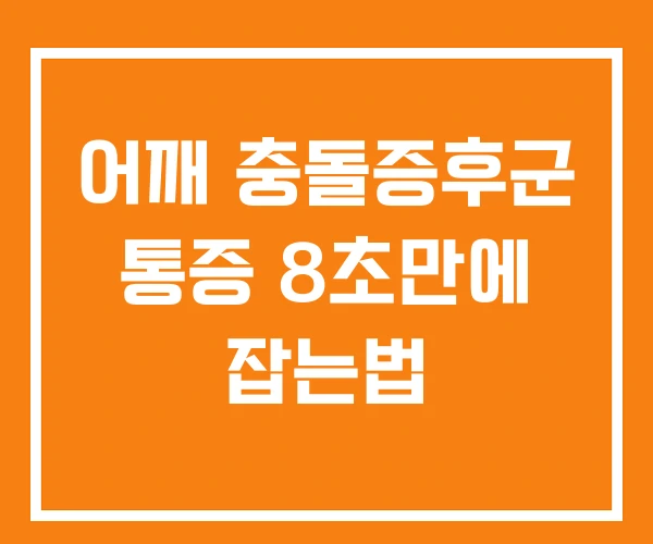 어깨 충돌증후군 통증 8초만에 잡는법 어깨 충돌증후군 통증 8초만에 잡는법