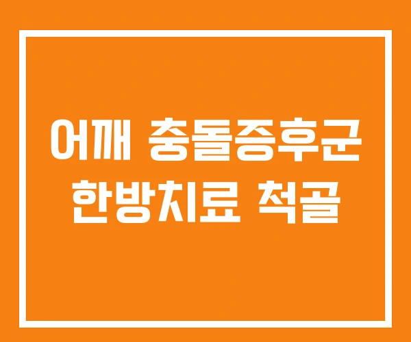 어깨 충돌증후군 한방치료 척골 어깨 충돌증후군 한방치료 척골