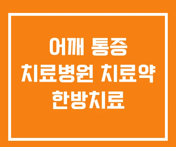 어깨 통증 치료병원 치료약 한방치료 어깨 통증 치료병원 치료약 한방치료