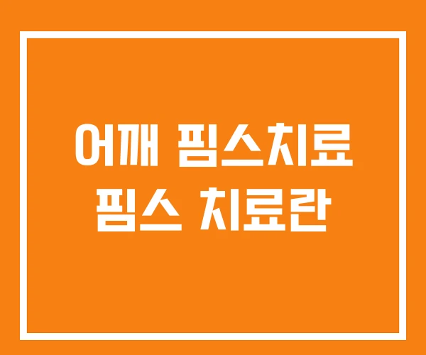 어깨 핌스치료 핌스 치료란 어깨 핌스치료 핌스 치료란