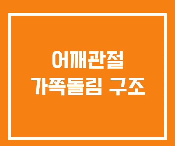 어깨관절 가쪽돌림 구조 어깨관절 가쪽돌림 구조