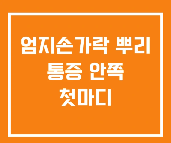 엄지손가락 뿌리 통증 안쪽 첫마디 엄지손가락 뿌리 통증 안쪽 첫마디
